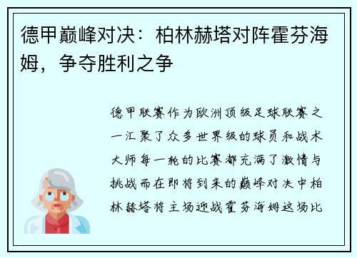 德甲巅峰对决：柏林赫塔对阵霍芬海姆，争夺胜利之争