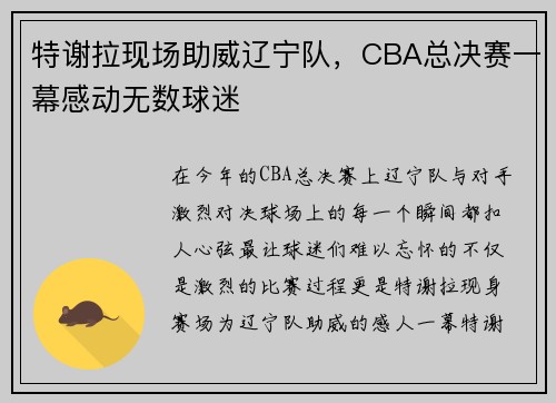 特谢拉现场助威辽宁队，CBA总决赛一幕感动无数球迷